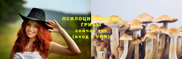 гашишное масло Краснослободск